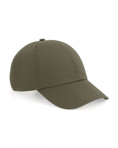 ORGANIC COTTON 6 PANEL CAP B54N