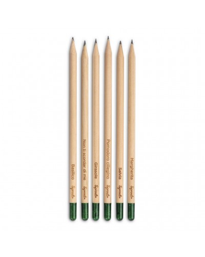 MATITA SPROUT IN LEGNO SOSTENIBILE CON MINA IN GRAFITE. PIANTABILE DOPO L'UTILIZZO 22803