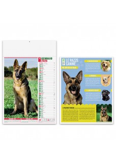 ILLUSTRATI - CANI E GATTI PA108