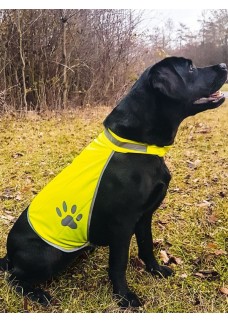KORNTEX SAFETY VEST FOR DOGS KTH
