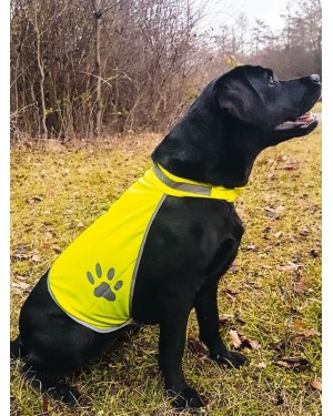 KORNTEX SAFETY VEST FOR DOGS KTH