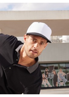 6 PANEL PRO CAP MB6581