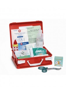 VALIGETTA DI PRONTO SOCCORSO (MENO DI TRE LAVORATORI) C005