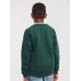 KIDS AUTHENTIC RAGLAN SWEAT JE271B