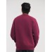 ADULTS CLASSIC SWEATSHIRT JE762M